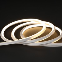 Lampu LED Neon Strip 3D Planar Emitting Outdoor IP67 10x10mm 120LEDs/m, Tali Silikon Fleksibel yang Dapat Dibengkokkan Sesuka Hati untuk Fasad