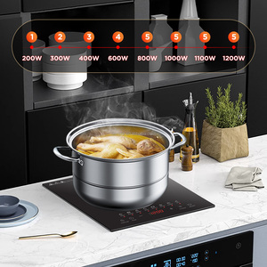 Cocina de inducción recargable solar de 1200W con placa de cocina integrada para casa, estación de carga de coche marino, uso en cocina al aire libre - Product Image 5
