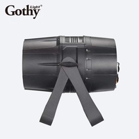 Projecteur LED COB 300W d'extérieur à zoom, forte puissance pour longue portée, étanche IP65, pour scène