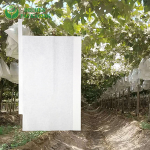 Pest-proof Fruit Cover Paper Protection Wax Coated Mango Growing Bag Pest-proof Fruit Cover Paper Protection Wax Coated Mango Growing Bag