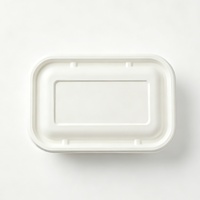 Assiettes jetables en pulpe de papier au design élégant et écologique, avec des coupelles écologiques pour trempettes
