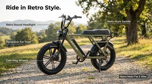 Vélo électrique à pneus larges 20 pouces 750W 48V, style cyclomoteur rétro, vélo électrique adulte deux places, suspension tout-terrain - Product Image 5