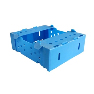 Hot Sales Fruit Plastic Pallet Box Practical PP Plastic Hollow Sheet Corflute Box