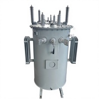 Transformador Monofásico Sumergido en Aceite S11/13 de 400V 220V, Tipo Convencional 13800V 167kVA 75kVA, con Cambiador de Voltaje y Montaje en Poste
