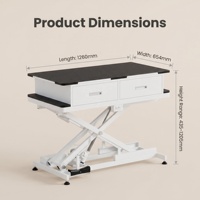 Table de toilettage électrique réglable pour animaux de compagnie avec commande de hauteur par pédale, surface antidérapante, tiroirs à outils et bras de toilettage