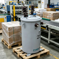 Transformateur TAISHUN 10 kVA monophasé immergé dans l'huile, à bobine toroïdale, haute efficacité 0,98, type colonne, pour installation en hauteur