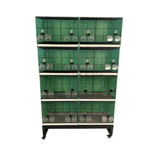 Yüksek kalite 120*42*200cm 4 katmanlar PP demir tel kalın siyah veya beyaz renk yeni stil yetiştiriciliği kuş kafesi - Product Image 2