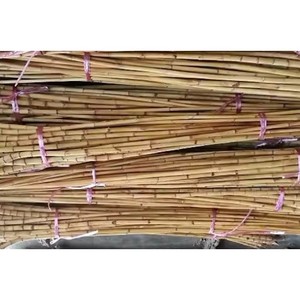 Best Selling CH GLOBAL High Quality Small-Scale Single Layer <b>Agricultural</b> <b>Greenhouses</b> Rattan Cane Material Furniture Natural - Product Image 3
