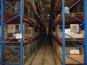 Sistema di Scaffalature per Corridoi Molto Stretti con Elevata Capacità di Carico, Scaffali Industriali per Magazzino con Carrelli VNA, Scaffalature ad Alta Densità - Product Image 5