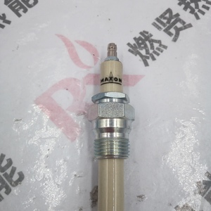 Electrodo de detección de encendido, sonda, enchufe de electrodo 108187 Detector Stock20 Maxon - Product Image 2