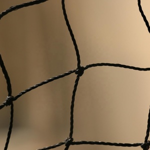 Tùy chỉnh cắt đúc HDPE nylon dây thép vô hình Lưới <span class=keywords><strong>Net</strong></span> ban công bảo vệ và mèo bảo vệ <span class=keywords><strong>Net</strong></span> lưới nhựa - Product Image 4