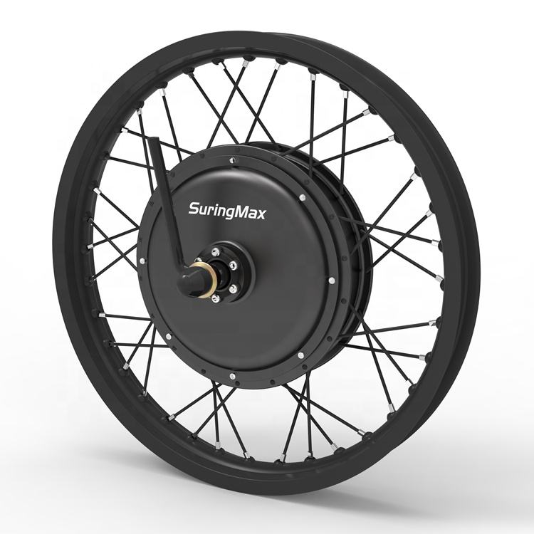 Best Selling Hubless Wheel Electric Bike 48V 1000W Folding MTB