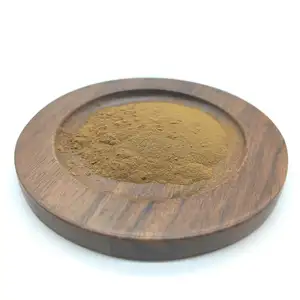 Water-soluble Peppermint Extract/ Dried Peppermint Leaf Powder/ Peppermint Powder Mint Powder