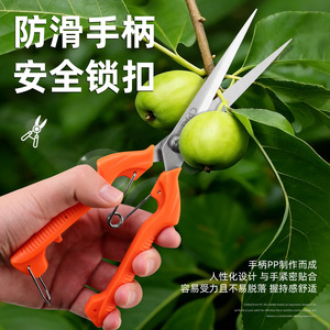 Cpai Fruit Picking Shears Stainless Steel Orange Handle Ergonomic Gardening <b>Tool</b> For Flower <b>Tree</b> <b>Pruning</b> - Product Image 5