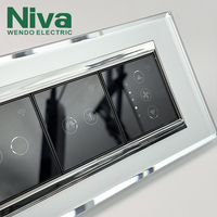 Interruptor de Pared Inteligente Niva con Control Wifi, Panel de Vidrio Templado, Interruptores y Enchufes Modulares Personalizados OEM Tipo 118