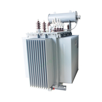 Transformateur de distribution premium 11kV 33kV 35kV 350kVA à haute efficacité et faibles pertes pour usines industrielles et réseaux électriques ruraux