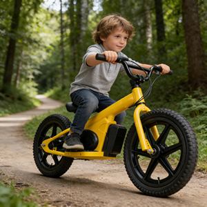 Vélo électrique auto-équilibré à 2 roues, 20 pouces, intelligent, pour enfants, voyage en plein air, vente chaude, OEM - Product Image 1