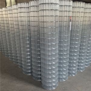 Maille de fil métallique soudée pour cage à lapin 2*4 pouces, renfort en maille de fil métallique soudée galvanisée - Product Image 4