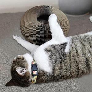 Planche à gratter magique pour chat, jouet avec cloche, grattage, griffes, livraison directe - Product Image 5