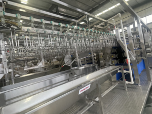 Línea de Sacrificio de Pollos Contenedorizada Modular Pequeña de 300-900 bph para Mataderos - Product Image 5
