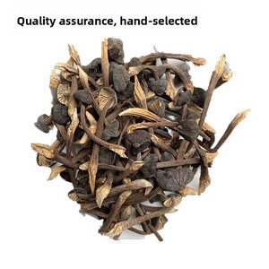 Funghi Termitomyces Selvatici Essiccati di Alta Qualità 100g per Creazioni Culinarie - Product Image 5