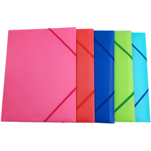 Boîte de classement en plastique de haute qualité boîte de rangement de fichiers colorés boîte de taille personnalisée fichier pour bureau avec sangles