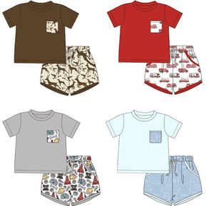 Conjunto de Ropa Casual de 2 Piezas para Bebé Niño, Primavera-Otoño, 95% Algodón, 5% Elastano, Estampado Personalizado, Camiseta y Pantalones Cortos, Ropa para Hermanos - Product Image 6