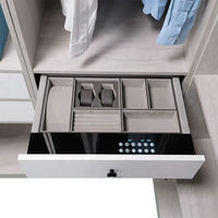Armoire intelligente empreinte digitale mot de passe tiroir vestiaire bijoux cachés coffre-fort avec batterie au lithium