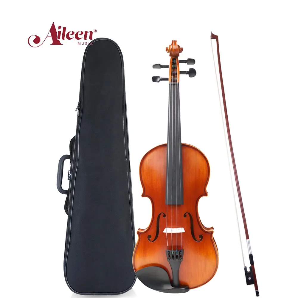 Violino adulto 4/4, todo o violino de madeira sólida profissional com estojo (vg210h)