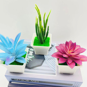 Plantas Suculentas Artificiales Qi Xing en Maceta de 10 cm, Decoración Interior de Plástico - Product Image 2