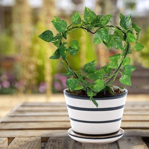 Enrejado de jardín de corazón para plátano trepador "Planta de vid sin óxido Alambre de soporte de metal Aro moderno Jardín Estacas de plantas en forma de corazón - Product Image 6