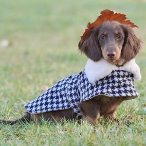 Roupas quentes para cães de lã, casaco feito à mão estilo britânico para cães, roupas para outono-inverno - Product Image 3