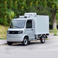 Camionnette frigorifique électrique légère à quatre roues pour livraison, petite boîte de chargement, à vendre