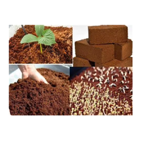 Vente en gros d'usine Bloc de tourbe de coco biologique de haute qualité 650g 1kg 5kg Brique anti-poussière 100% noix de coco biologique pour jardin à bas prix