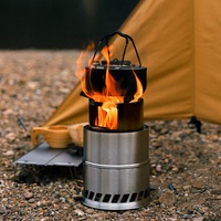 Poêle à bois portable en acier inoxydable, pour camping en plein air, pique-niques, charbon de bois, carburant solide, alcool, détachable, coupe-vent, 1-2 personnes
