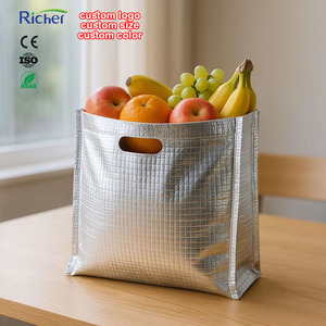Productos Más Vendidos, Productos Ecológicos Sostenibles, Bolsa Térmica de Plástico Resistente para Comercio Electrónico, para Mantener Alimentos Calientes y Fríos - Product Image 1
