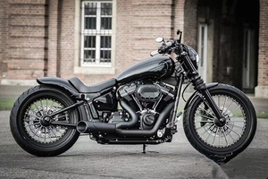 Garde-boue arrière argenté pour <span class=keywords><strong>Harley</strong></span> 2018 + Fat Boy <span class=keywords><strong>Breakout</strong></span> FXDR - Product Image 6