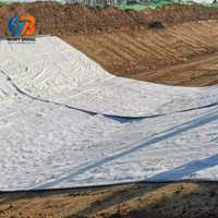 Revestimiento de Arcilla Geosintética Bentonita (GCL), Manta Impermeable para Vertederos, Estanques y Embalses