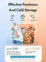 Glacière portable Icemaster légère 1,21 kg, haute résistance aux chutes et aux chocs, 5 L, avec poignée robuste