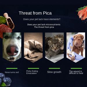 Tabletas Probióticas Ecológicas para Perros (Bacillus Subtilis) con Calcio para el Apoyo del Sistema Inmunológico, Venta al por Mayor, 2 Años de Duración, para Todas las Razas - Product Image 2