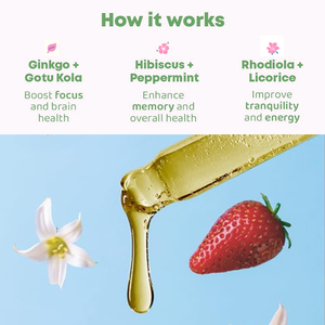 Lifeworth suplemen memori fokus nootropik untuk dewasa anak-anak, cairan Gingko Biloba <span class=keywords><strong>Licorice</strong></span> akar Centella Asiatica daun Peppermint - Product Image 4