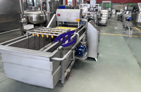 Industriële Automatische Bubbel Wasmachine Voor Fruit/Groente/Zeevruchten Aardappel Wortel Dadels Vis Garnaal Reinigingsapparatuur