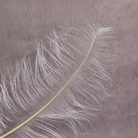Bulu Burung Sika Sutra Asli (50-55cm) Untuk Dekorasi Meja, Pernikahan, Pohon, Bola Dekoratif, Dekorasi Rumah Moyang