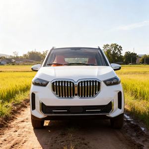 Nouvelle Voiture Électrique Compacte 5 Places à Batterie Lithium, Faible Vitesse, pour Adultes, Autonomie 201-300km, Recharge en 4 Heures - Meilleure Vente - Product Image 5