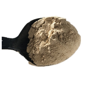 Minéraux bruts naturels Diatomite pour la peinture, le revêtement et la décoration avec une teneur élevée en SiO2 (85%) et un pH neutre 6-7 - Product Image 2