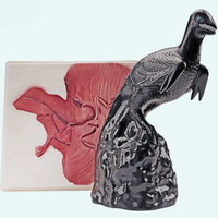 Modèle de Fossile et de Restauration Archaeopteryx en PLA, Marque Tianlian, Spécimen Pédagogique de Biologie