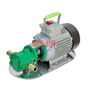 110V 220V Stainless Steel WCB Electric Gear Pump For Fuel Oil Pump Electric Diesel Oil Transfer Pumps