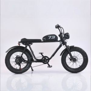 Vélo électrique de ville EBIKE 500W 48V avec pneus larges de 20 pouces, batterie 20Ah, vitesse 45 km/h, moteur à moyeu arrière 6 vitesses, pour les déplacements urbains et les loisirs - Product Image 1