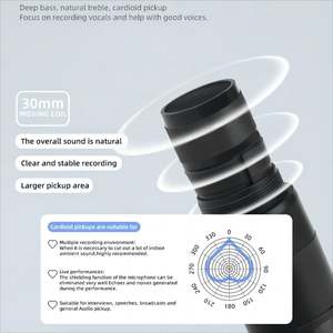 Micrófono profesional inalámbrico de nuevo diseño con micrófono de acordeón inalámbrico de gran precio - Product Image 4