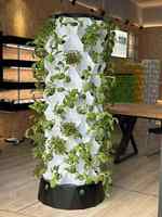Serre hydroponique verticale intelligente pour la culture de légumes, équipement de culture sans sol, colonne multi-niveaux en plastique pour culture d'ananas